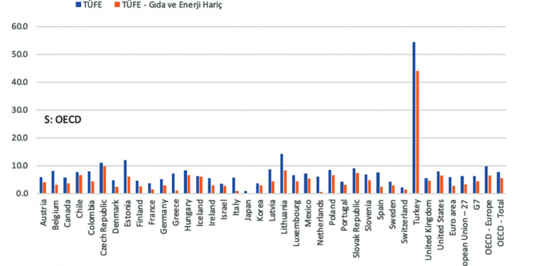 Karar yazarı Akif Beki: Uçuşa geçmiş de başı göğe eriyor görünen enflasyon bizim!