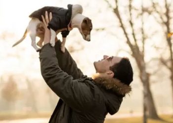 Köpek cinslerinin ortalama ömür çizelgesi çıkartıldı