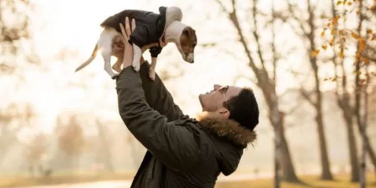 Köpek cinslerinin ortalama ömür çizelgesi çıkartıldı
