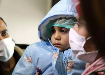 Küçük Asiye'ye pitbull saldırısında tahliye edilen 3 kişi yeniden tutuklandı