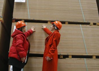 MDF ve yonga levha ihracatı yasaklandı