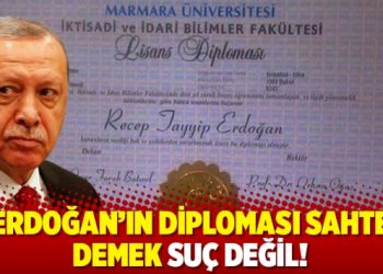 Mahkeme gerek&ccedil;eli kararını a&ccedil;ıkladı: 'Erdoğan'ın diploması sahte' demek su&ccedil; değil