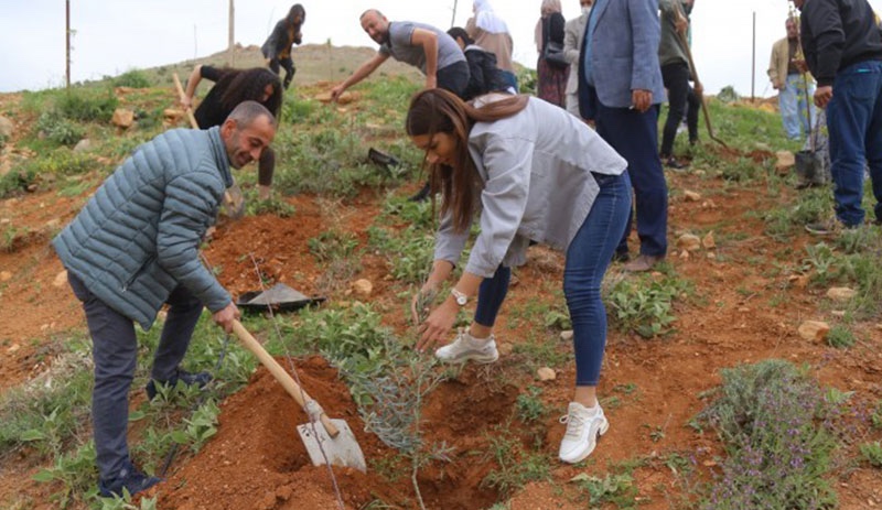 Mardin ve Adana'da Öcalan'ın 73'üncü yaş günü dolayısıyla fidanlar dikildi