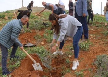 Mardin ve Adana'da Öcalan'ın 73'üncü yaş günü dolayısıyla fidanlar dikildi