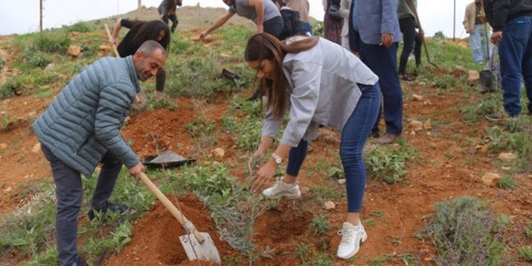Mardin ve Adana'da Öcalan'ın 73'üncü yaş günü dolayısıyla fidanlar dikildi