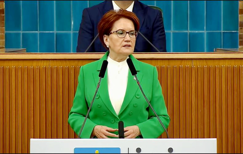 Meral Akşener: Nebati bakanın, affını isteme vakti gelmiştir