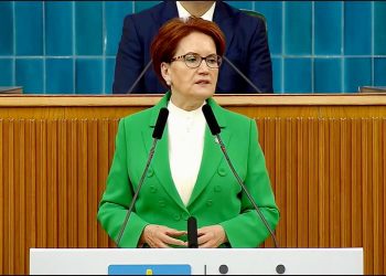 Meral Akşener: Nebati bakanın, affını isteme vakti gelmiştir