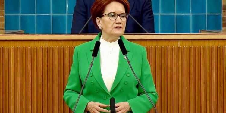 Meral Akşener: Nebati bakanın, affını isteme vakti gelmiştir