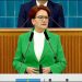 Meral Akşener: Nebati bakanın, affını isteme vakti gelmiştir