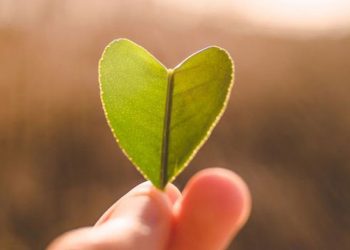 'Ne yiyip ne içtiğimiz ne kadar hareket ettiğimiz kalp damar sağlığını yakından ilgilendiriyor'