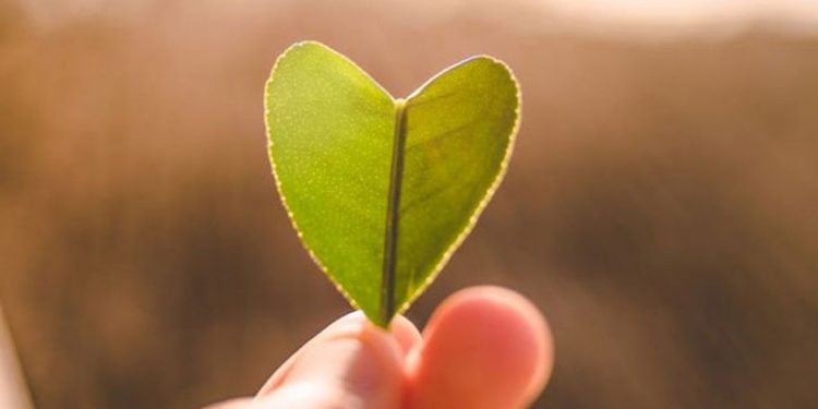 'Ne yiyip ne içtiğimiz ne kadar hareket ettiğimiz kalp damar sağlığını yakından ilgilendiriyor'