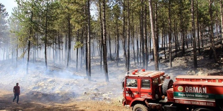 OGM, yangınları söndürme işlerini taşerona devredecek
