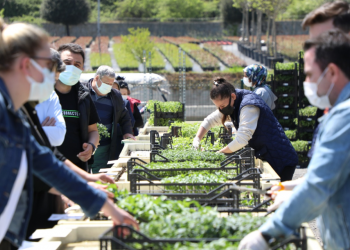 Pazarda fiyatlar arttı, vatandaş sebze fidelerine akın etti