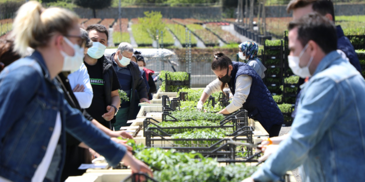 Pazarda fiyatlar arttı, vatandaş sebze fidelerine akın etti