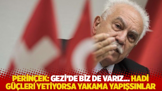 Perinçek: Gezi'de biz de varız... Hadi güçleri yetiyorsa yakama yapışsınlar