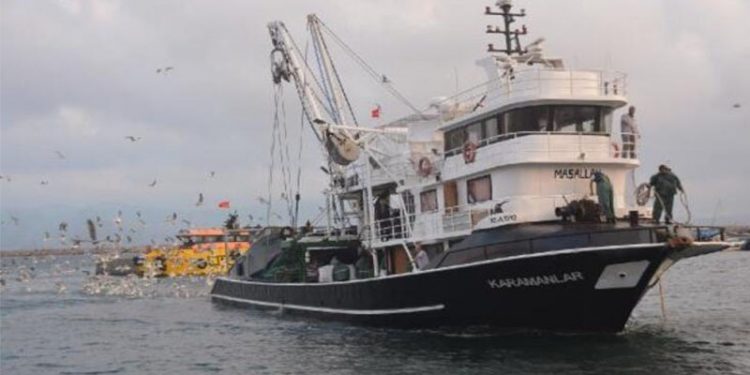 Prof. Dr. Sarı: Boğazlar ve çevrelerinin bir bölümü balık avcılığına kapatılmalı