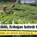 Rizeli çay üreticilerinden gübre fiyatlarına tepki: Çayımız öldü, Erdoğan batırdı bizi