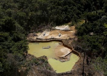 Rusya'nın Ukrayna'yı işgali, Brezilya'daki yerli topluluklarını nasıl tehdit ediyor?