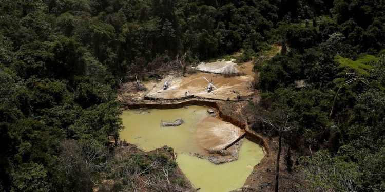Rusya'nın Ukrayna'yı işgali, Brezilya'daki yerli topluluklarını nasıl tehdit ediyor?