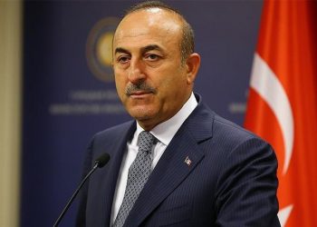 Soykırımı ilk tanıyan ülke Uruguay'da Çavuşoğlu'nun bozkurt işaretinin yankıları sürüyor