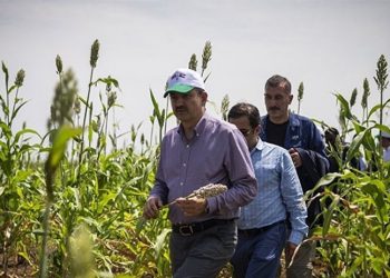 Sudan’da yıllardır faaliyete başlayamayan şirkette dikkat çeken görevlendirmeler