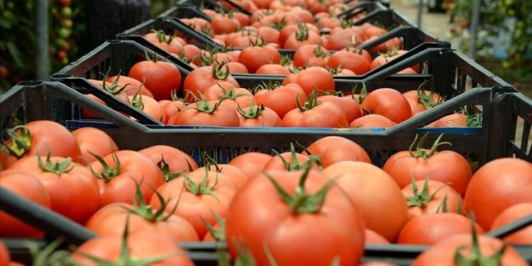 Sözcü yazarı Muratoğlu: Askıda domates uygulamasına az kaldı; bu yaşananlar Türkiye Cumhuriyeti tarihinin en acıklı manzaralarından biridir