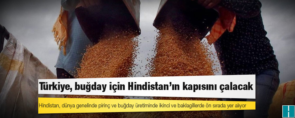 Türkiye, buğday için Hindistan'ın kapısını çalacak