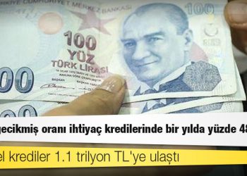 Tahsili gecikmiş oranı ihtiyaç kredilerinde bir yılda yüzde 48,3 arttı