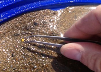 Takı üretimi sırasında kanalizasyona karışan altın tozları toplanacak