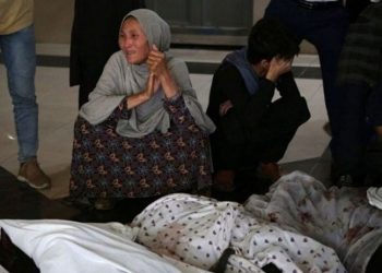 Taliban'dan kurtulan kadın Hazaralara uygulanan soykırımı anlattı