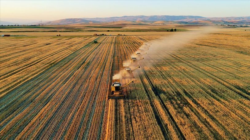 Tarımsal girdi fiyat endeksi, yıllık yüzde 80,99 ile tarihi zirveyi gördü