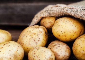 Tarım Bakanı Kirişçi açıkladı: 26 ilde patateste kanser karantinası