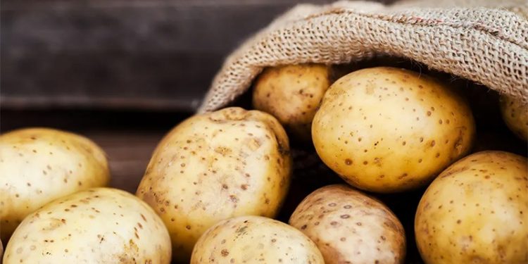 Tarım Bakanı Kirişçi açıkladı: 26 ilde patateste kanser karantinası
