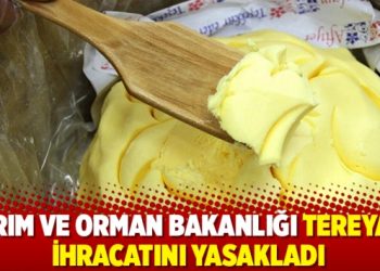 Tarım ve Orman Bakanlığı tereyağı ihracatını yasakladı