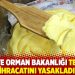 Tarım ve Orman Bakanlığı tereyağı ihracatını yasakladı