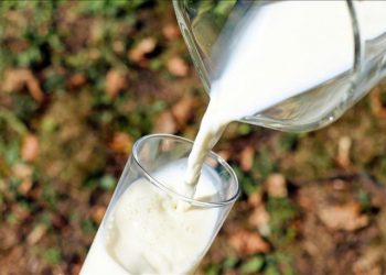 Tarım ve Orman Bakanlığı'na, dövizle süt ve krema ihracatına 'dönemsel düzenleme' yetkisi