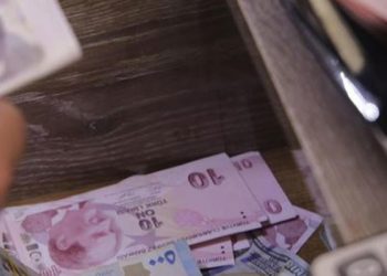 Taşıt hariç menkul kıymet satışında Türk Lirası zorunluluğu getirildi