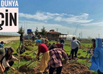 Twitter'da #BirFidanlaYaşamaSahipÇık kampanyası