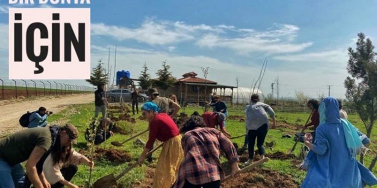 Twitter'da #BirFidanlaYaşamaSahipÇık kampanyası