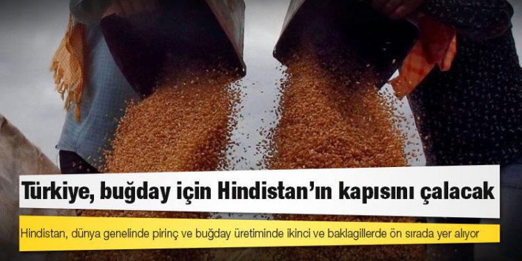 Türkiye, buğday için Hindistan'ın kapısını çalacak