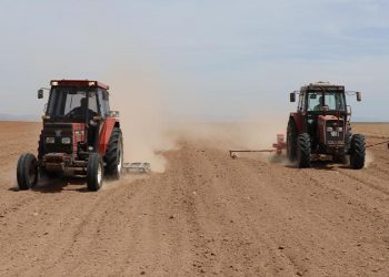 Türkiye'nin en büyük ikinci 'tahıl ambarı'nda kuraklık endişesi
