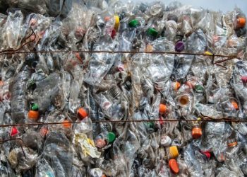 Türkiye'nin yeni çevre sorunu: Geri dönüşüm