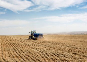 Türkiye’de uygulanan tarım politikaları ve belirsizlik gıda güvenliğini riske atıyor