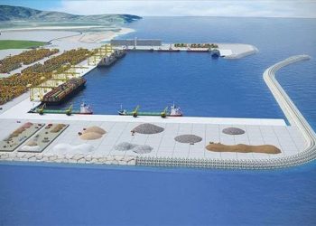 Ulaştırma Bakanı TPAO müdürüyle 2.2 milyar dolarlık limanda ters düştü: Biz işleteceğiz