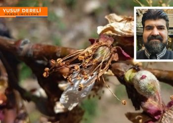 Uzman psikoloğun ‘çiftçi’ olma denemesi, ziraat mühendislerine takıldı!