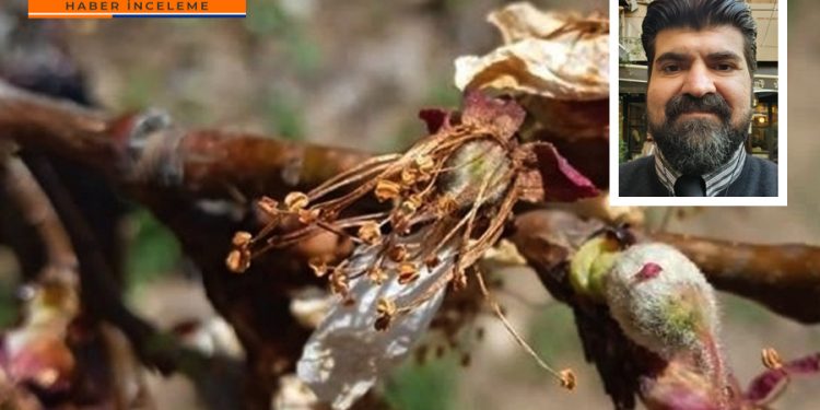 Uzman psikoloğun ‘çiftçi’ olma denemesi, ziraat mühendislerine takıldı!