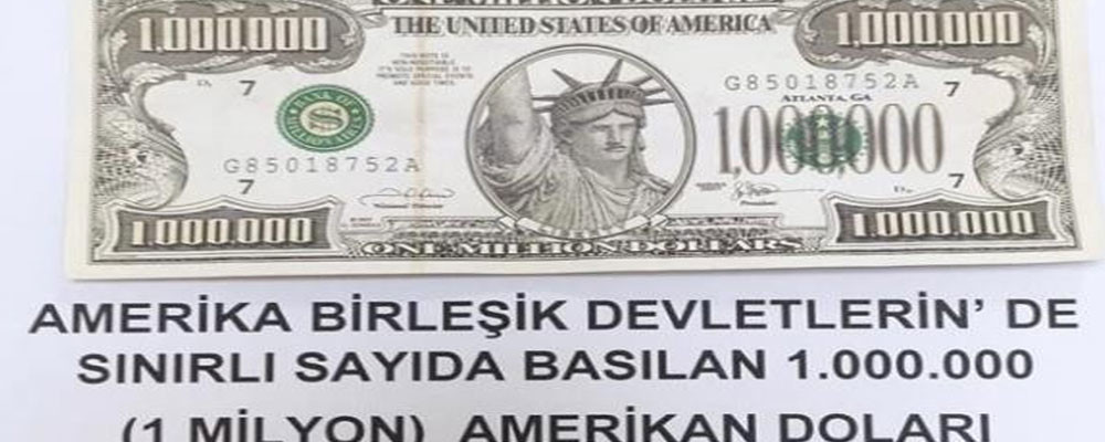 Van'da 1 milyon dolarlık banknot ele geçirildi