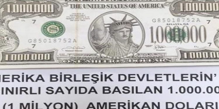 Van'da 1 milyon dolarlık banknot ele geçirildi