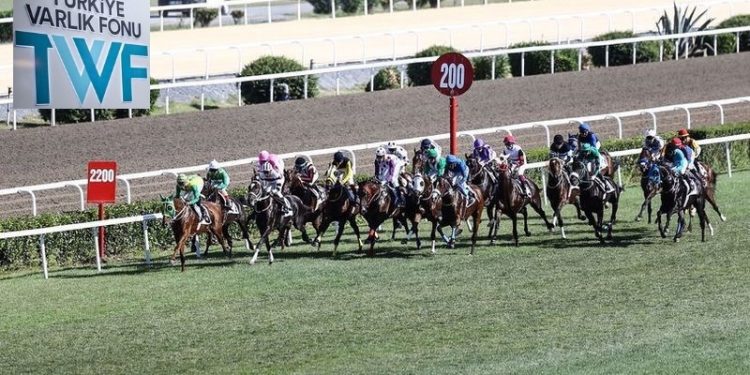 Varlık Fonu zararına çözüm için at yarışı gelirlerine mi göz dikildi?: Atlar Varlık Fonu için yarışacak