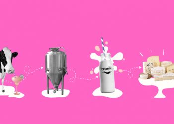 Vegan fabrika: Dünyanın en büyük hayvansız süt fabrikası inşa edilecek